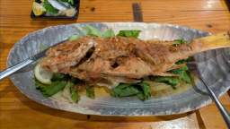 2025-11-06 18.43.15.JPG